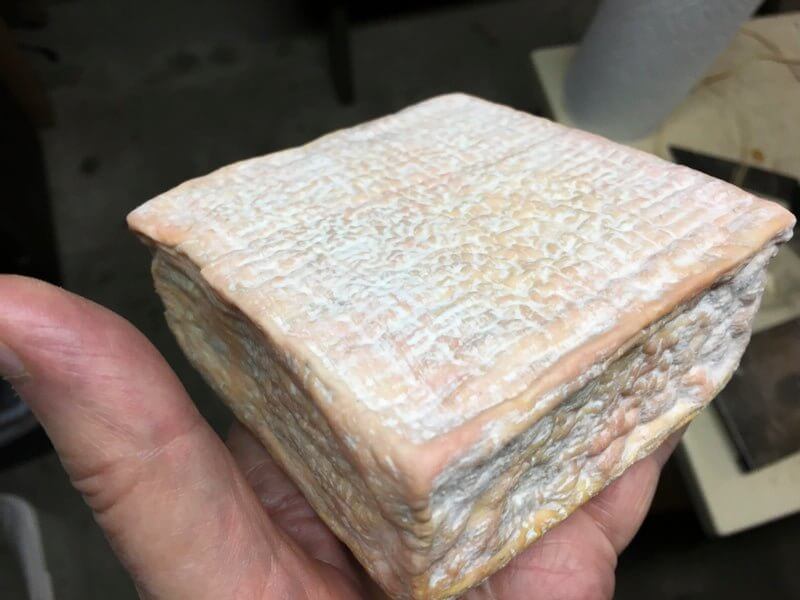 Cheese Making Workshop - Successful Aging - Image 11