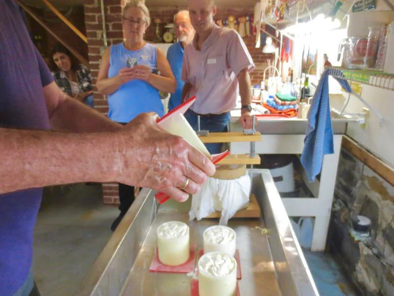 Cheese Making Workshop - Successful Aging - Image 6