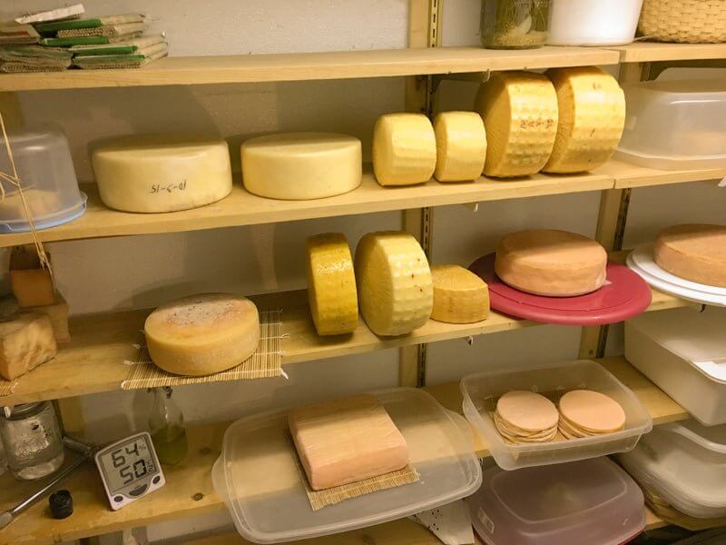 Cheese Making Workshop - Successful Aging - Image 8